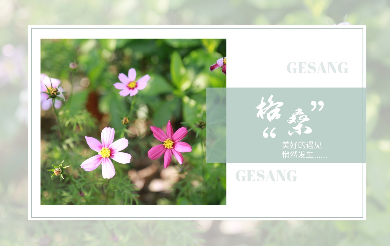 遇見，GCGS的春日晴窗 | Embracing Spring in GCGS