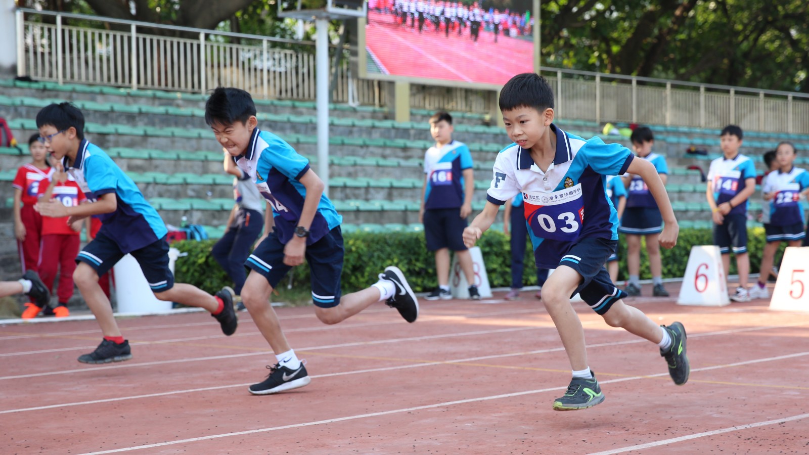 廣東碧桂園學校